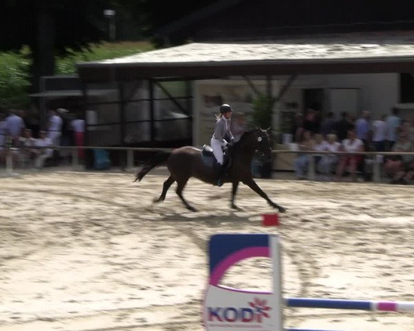 Reitturnier Recklinghausen 2022
