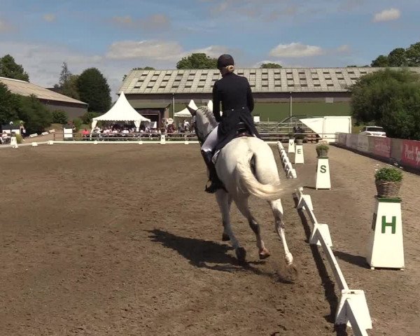 Reitturnier Kleinsolt 2022