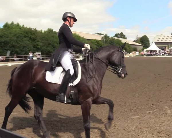 Reitturnier Kleinsolt 2022