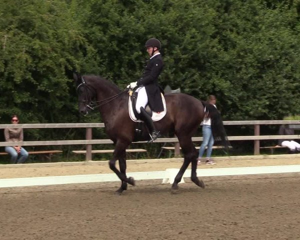 Reitturnier Kleinsolt 2022