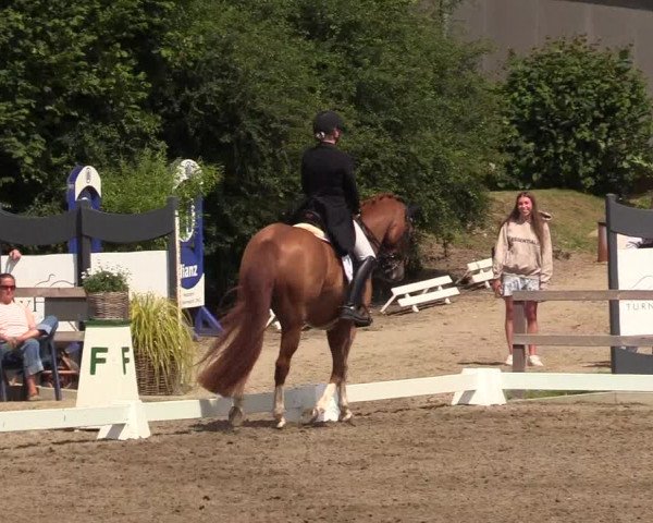 Reitturnier Kleinsolt 2022