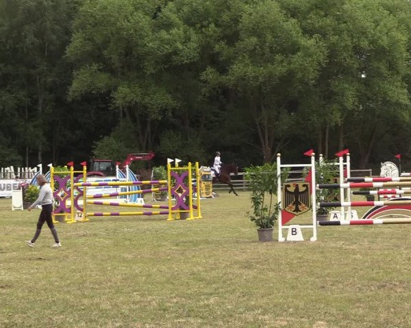 Reitturnier Greven 2022