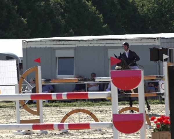 Reitturnier Weiswampach 2022