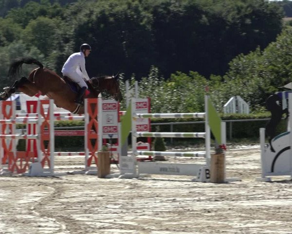Reitturnier Weiswampach 2022