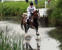 dressage horse Hop and Skip (UK Warmblood, 1999, from Skippy RID 688)
