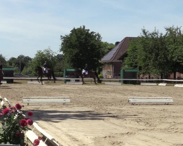 Reitturnier Recklinghausen 2022