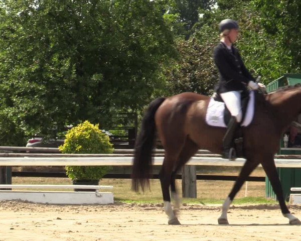 Reitturnier Recklinghausen 2022