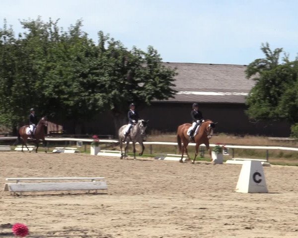 Reitturnier Recklinghausen 2022