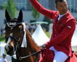 jumper Graciella (Hanoverian, 2004, from Graf Top)