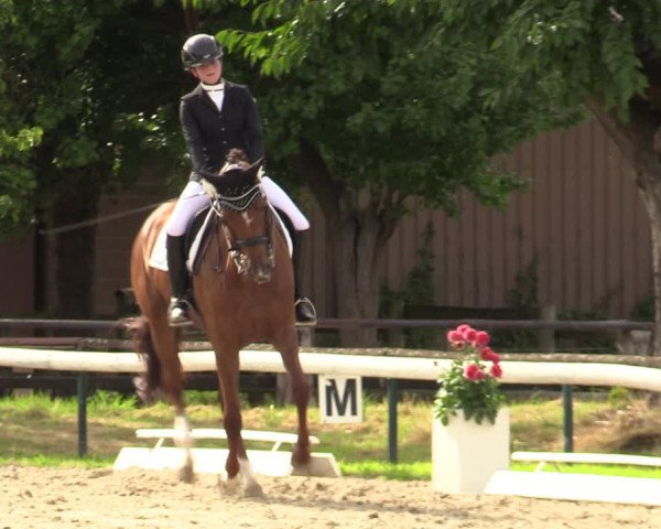 Reitturnier Recklinghausen 2022