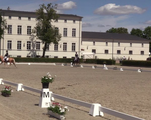 Reitturnier Neustadt/Dosse 2022