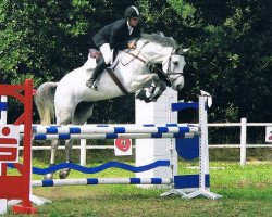 jumper Corifeo (Holsteiner, 2001, from Corrado II)