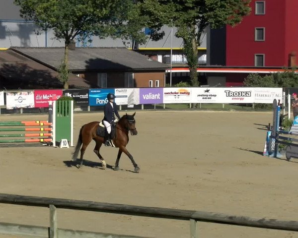 Reitturnier Dagmersellen 2022
