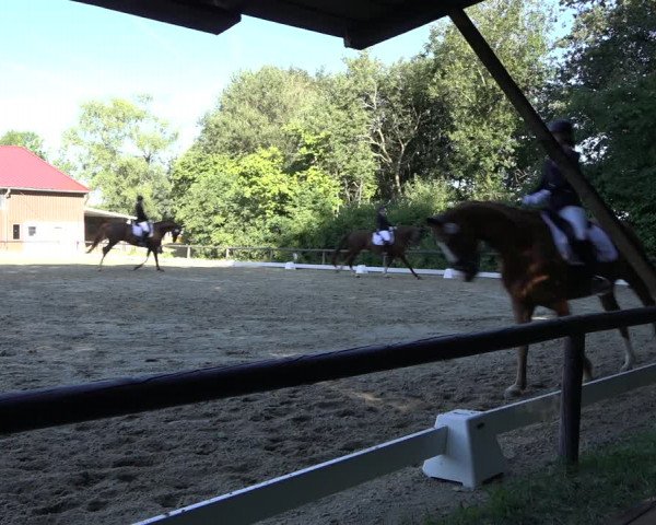 Reitturnier Marienheide-Kempershöhe 2022