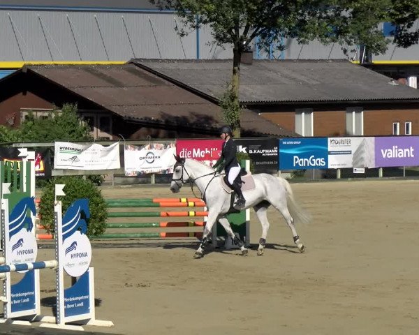 Reitturnier Dagmersellen 2022