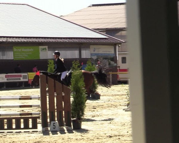 Reitturnier Marienheide-Kempershöhe 2022