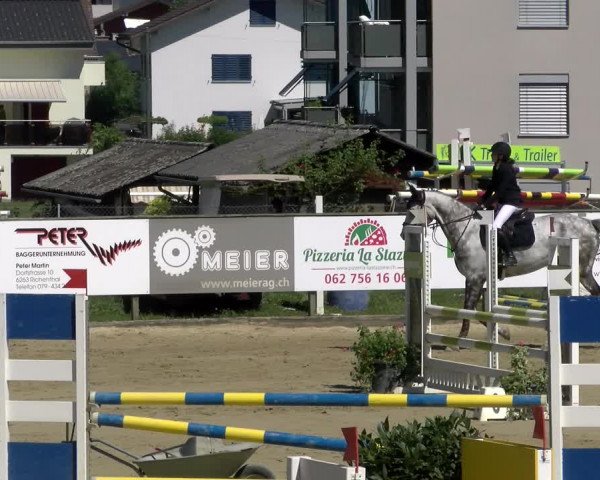 Reitturnier Dagmersellen 2022