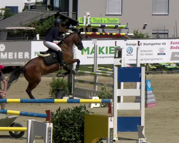 Reitturnier Dagmersellen 2022