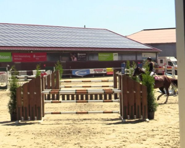 Reitturnier Marienheide-Kempershöhe 2022