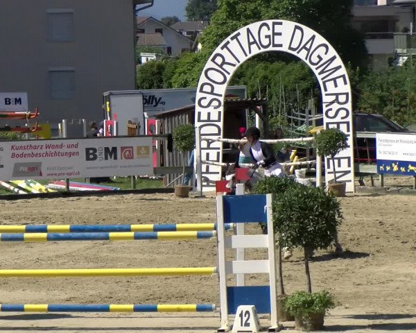 Reitturnier Dagmersellen 2022