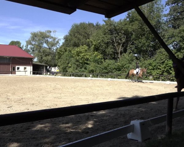 Reitturnier Marienheide-Kempershöhe 2022