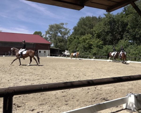 Reitturnier Marienheide-Kempershöhe 2022