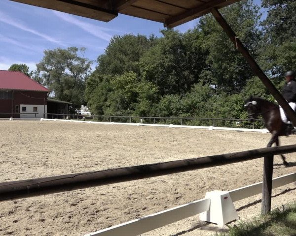 Reitturnier Marienheide-Kempershöhe 2022