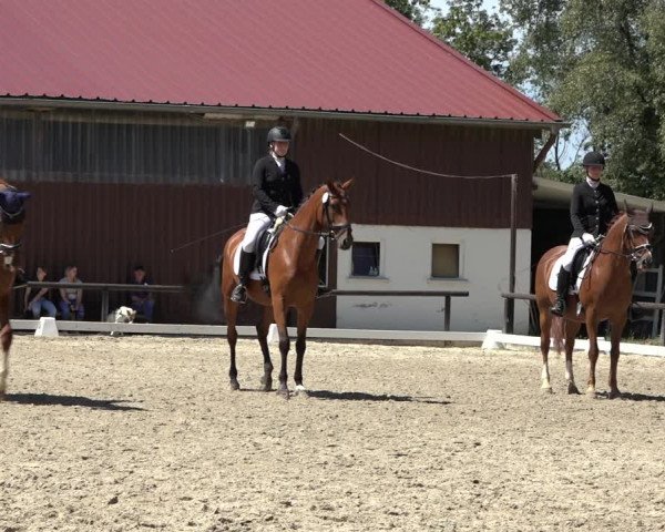 Reitturnier Marienheide-Kempershöhe 2022