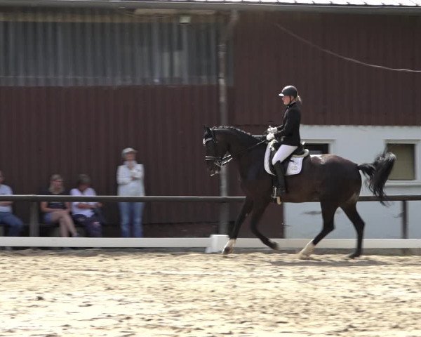 Reitturnier Marienheide-Kempershöhe 2022