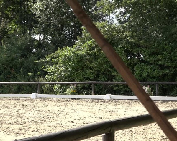 Reitturnier Marienheide-Kempershöhe 2022
