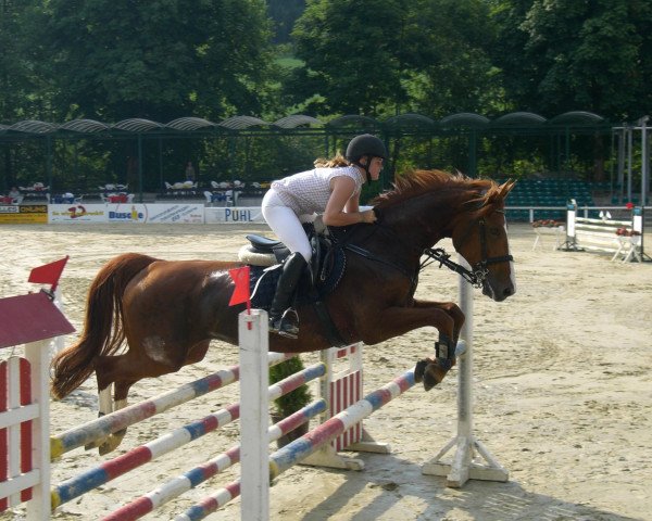 jumper Debby H (Westphalian, 1995, from Daenenkoenig)