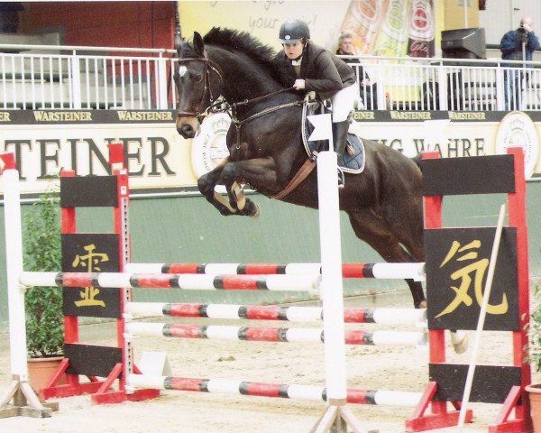 dressage horse Ameera W (Westphalian, 2004, from Amantus)