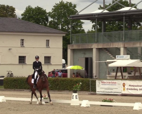 Reitturnier Neustadt/Dosse 2022
