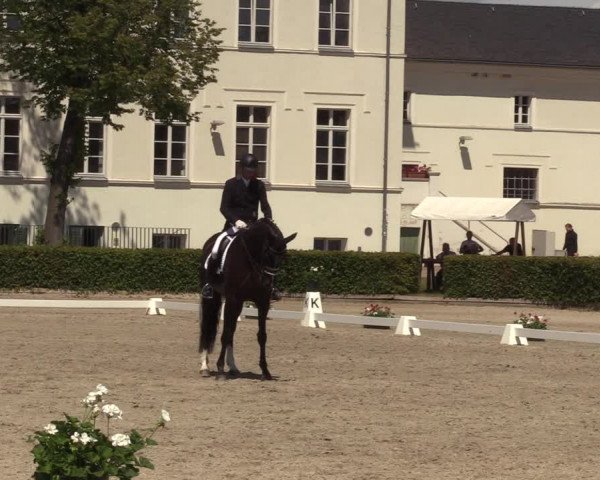 Reitturnier Neustadt/Dosse 2022