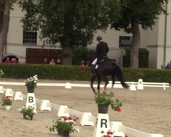 Reitturnier Neustadt/Dosse 2022