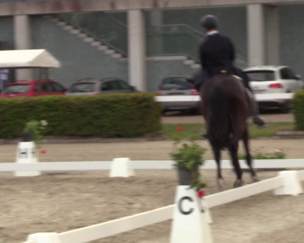 Reitturnier Neustadt/Dosse 2022
