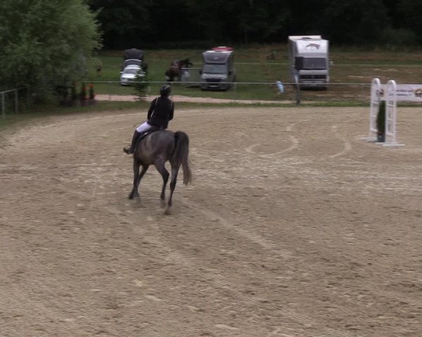Reitturnier Bad Liebenstein/Sorga 2022