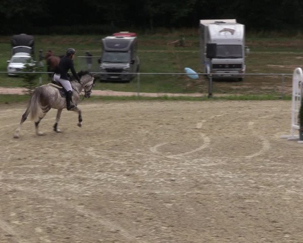 Reitturnier Bad Liebenstein/Sorga 2022
