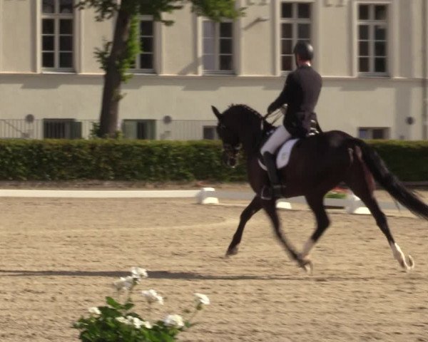 Reitturnier Neustadt/Dosse 2022