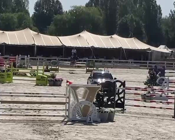 FEI Reitturnier Praha, Velka Chuchle (CZE) 2022