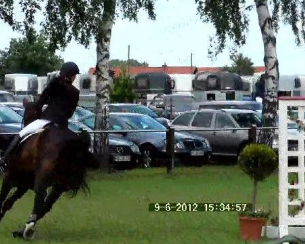 jumper Camposantos (Westphalian, 2000, from Cordobes II)