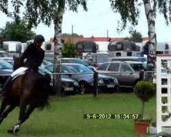 Springpferd Camposantos (Westfale, 2000, von Cordobes II)