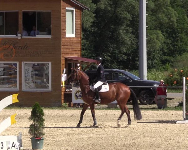 Reitturnier Bad Liebenstein/Sorga 2022