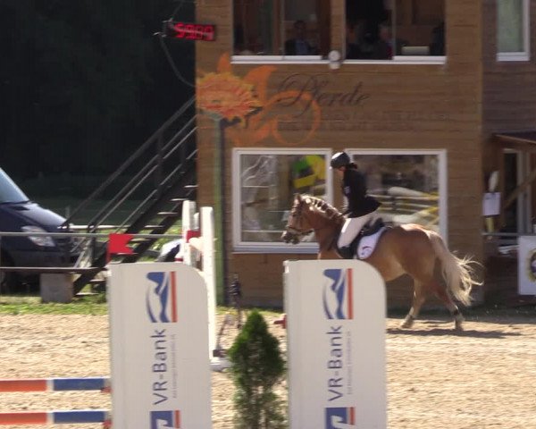 Reitturnier Bad Liebenstein/Sorga 2022