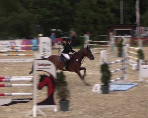 Reitturnier Bad Liebenstein/Sorga 2022