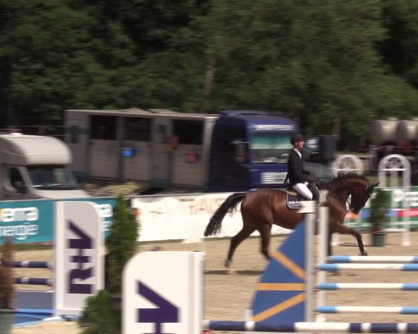 Reitturnier Bad Liebenstein/Sorga 2022