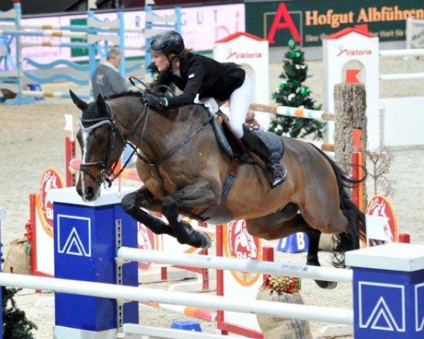 jumper Shakespeare (KWPN (Royal Dutch Sporthorse), 1999, from Lux Z)