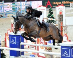 jumper Shakespeare (KWPN (Royal Dutch Sporthorse), 1999, from Lux Z)