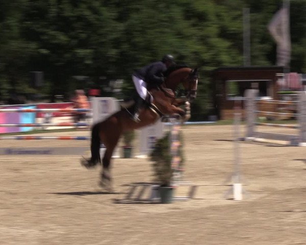 Reitturnier Bad Liebenstein/Sorga 2022