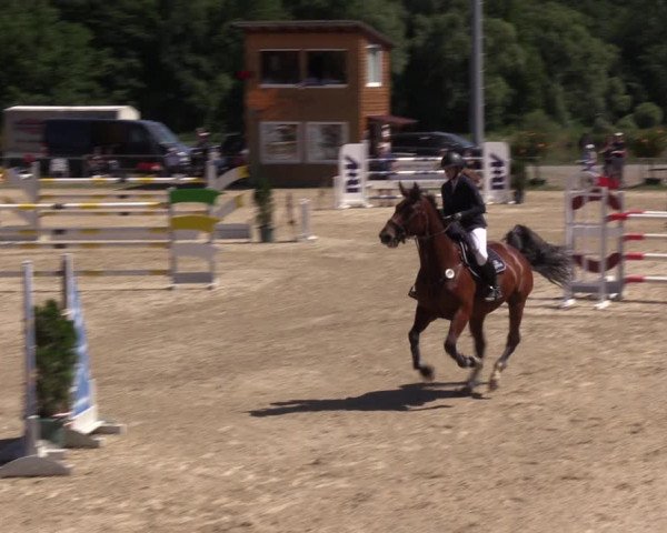 Reitturnier Bad Liebenstein/Sorga 2022